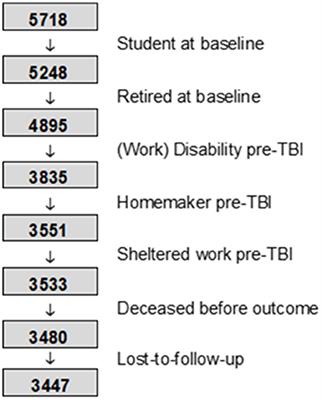 Traumatic brain injury hospitalizations in Belgium: A brief overview of incidence, population characteristics, and outcomes